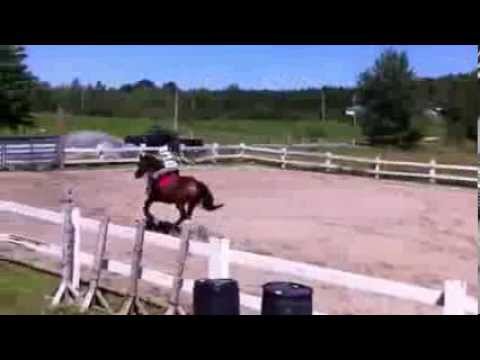 Quelques conseils constructifs pour moi? Ça serait très aprécier ;) Sur cette vidéo il n'y a que un saut mais j'en...