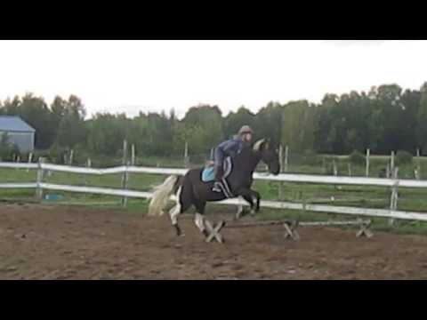 Premier vrai cours de saut! J'ai vraiment adoré. Si vous avez des commentaires positifs allez y sans hésiter.