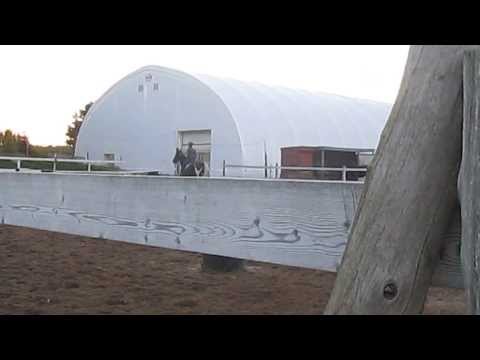 Premier vrai cours de saut. Les commentaire sont appréciés. Je sais on ne saute pas.