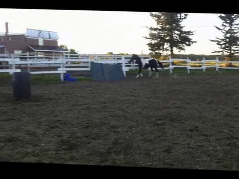 Travail en free jumping à 2'3