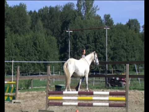 1 parcour d'equility, je trouve cette pratique superbe.