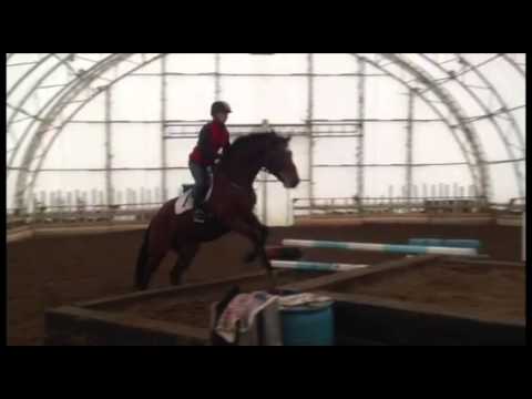 Cross indoor avec Ellie, exclusivité du Centre Équestre Équilibre :)
