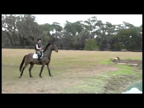Ellie à son premier entraînement de cross 2014!