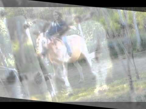 Chevaux de ma vie :)