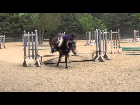Compilation de mes pires moments filmés à cheval. C'est à titre humoristique, puisque je monte dans une super écurie...