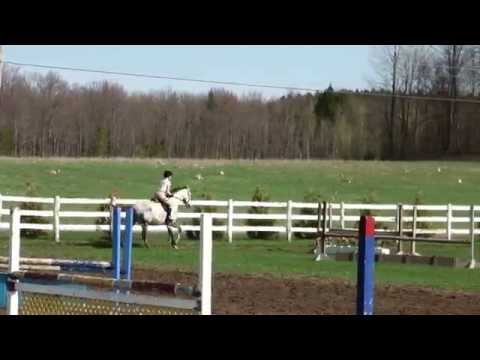 Jumper Équitation 3 pieds avec Tali :)