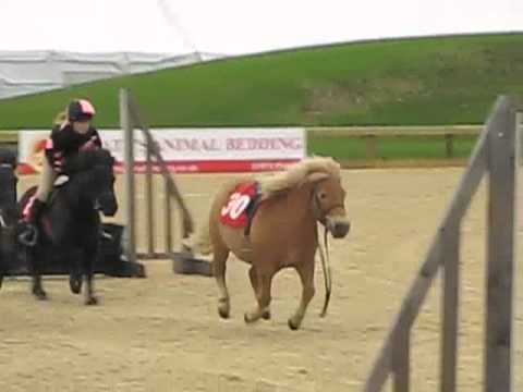 Haha course de poneys! Trop cuuuute