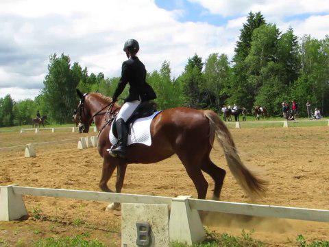Sur ma jument Brazile à notre première compétition de dressage régionale niveau entrainement. 31 mai 2014.