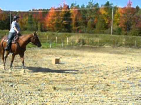 Didi et moi au trot lent!