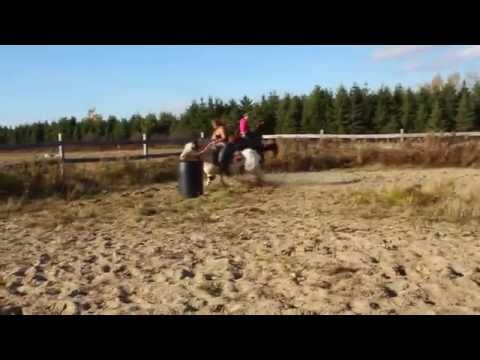 Retour au course pour Zephyr! Cheval de mariepier4 :)