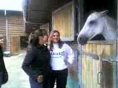 je sais pas si c`est les deux filles ou le cheval qui est bizarre???
