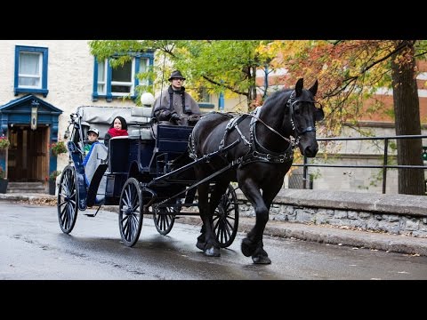 Calèches Québec