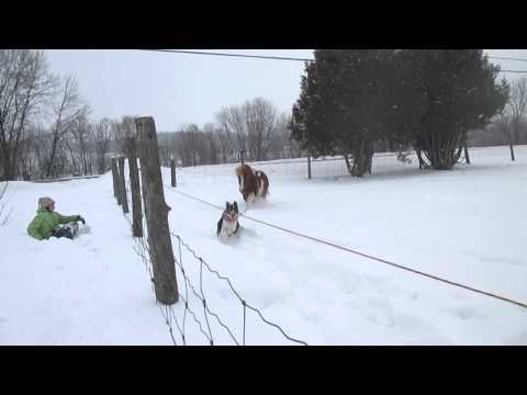 Turbo qui se fait suivre par le chien hihihi