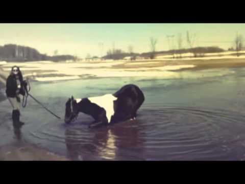 Ma jument adore l'eau partie 2