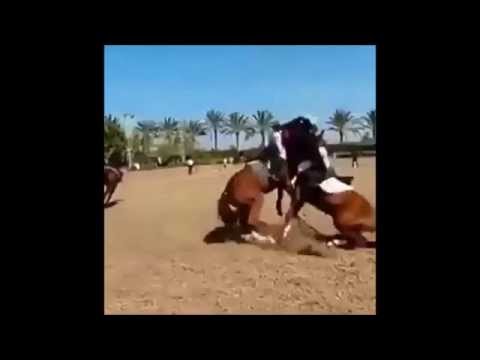 Deux chevaux qui se rentrent dedans en plein galop...