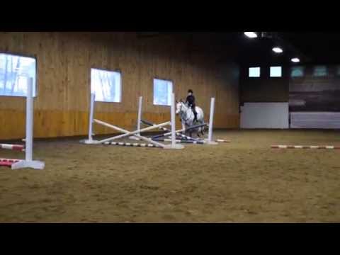 Constance 3ieme fois dans une gym Holsteiner by ChablisIZ
