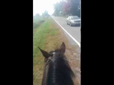 Rando avec Minie 2