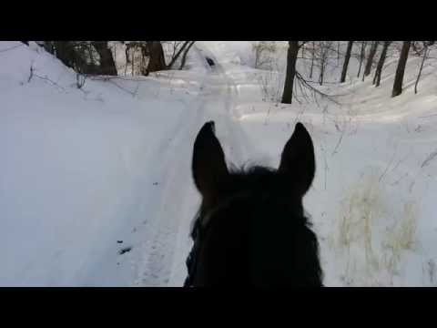 Rando dans la neige