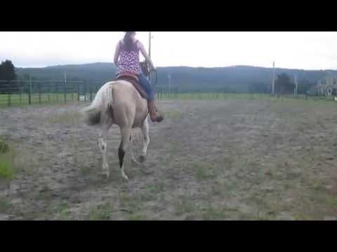trou de serrure, premier gymkhana