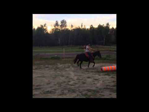 Changements de pieds en slalom pour la première fois avec mon poney :)