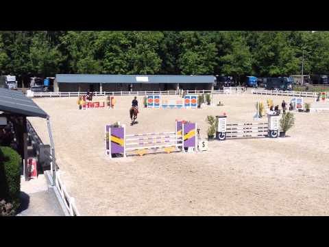 Cheval débourré par mes soins à 4 ans valorisé dans les cycles des 5 ans
