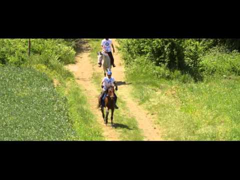 la course d'endurance (magnifique montage)