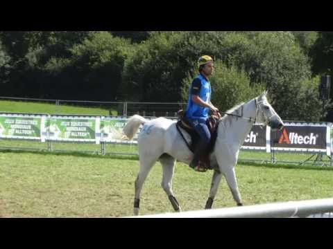Endurance (championnat mondiaux) avec commentaire sur la course