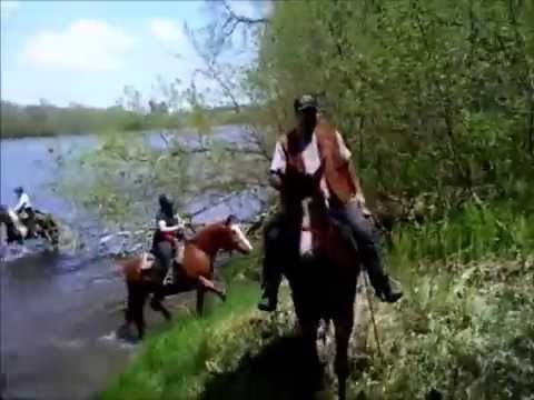 Petit montage d'une belle randonnée avec ma belle Cowgirl et la gang de l'écurie. On a la chance d'avoir de superbes...