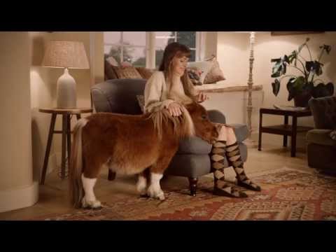poney pubs