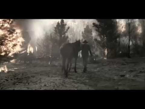 Best horse vidéo