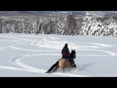 Galèro dans la neige