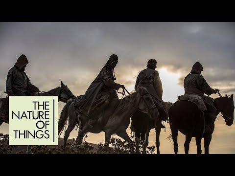 Rencontrez les premiers humains à monter à cheval.