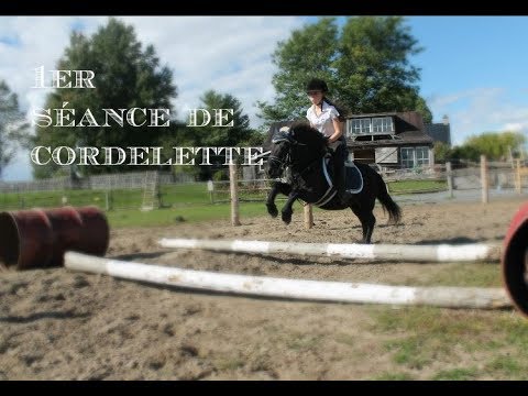 Séance de saut en cordelette