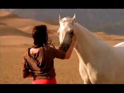 Arabian advanture