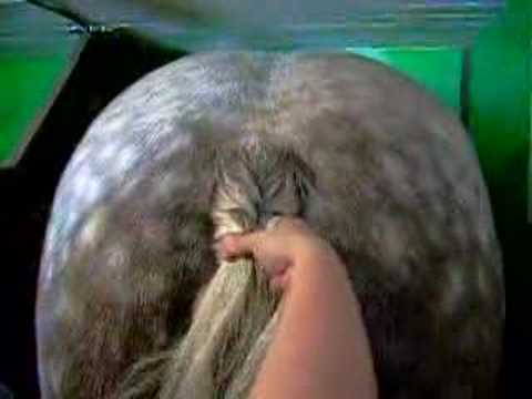 *** Comment faire une tresse ***