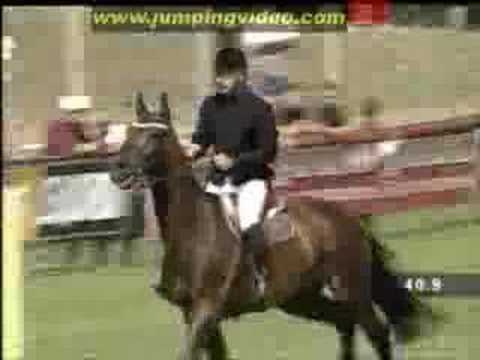 Jumping horse