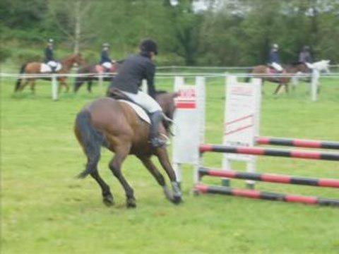 betisier d'equit'
