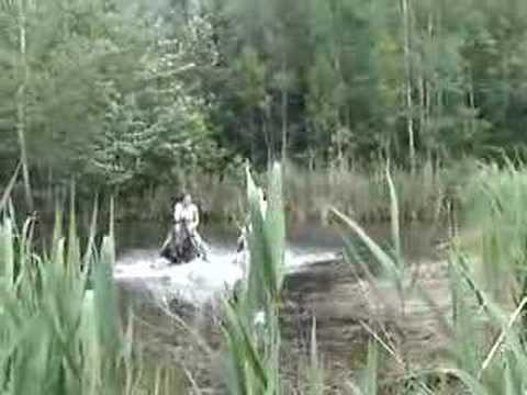 Petite baignade avec les chevaux! Ils aimaient ça au boute... et nous aussi! Ça rafraîchit :)