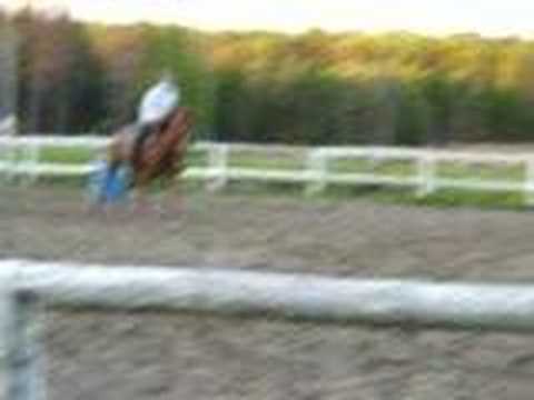 Ariane et Sunny, pratique de barils
