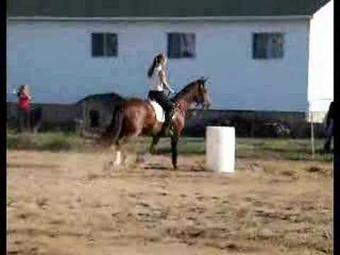Moi et ma jument lors d'un gymkhana amateur... elle voulait trop aller vite donc je les fesait au trot, mais elle...