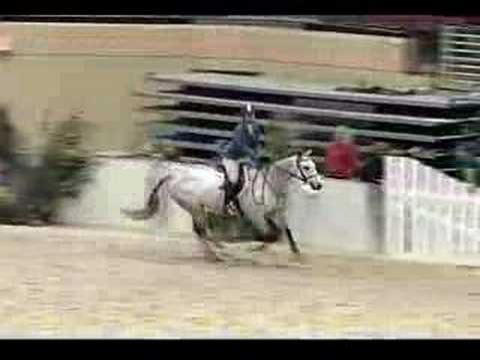 Beau parcours de chasse