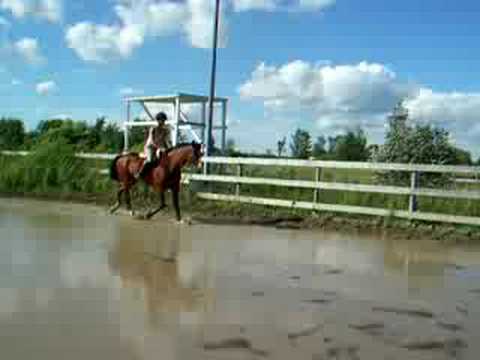 Moi et mon cheval dans le lac du man&egrave;ge &agrave; cause de la maudite pluie! Il l&egrave;ve tellement c'est pattes lol &ccedil;a callait...