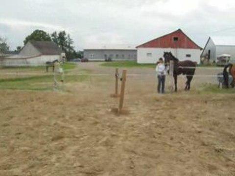 Un droit a 3pied quelques...sa même pas l'air forcant!