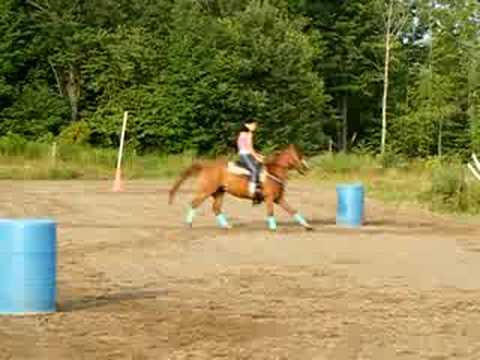 Premiere fois que j'essaie mon cheval autour des barils au petit galop ! Pas un beau 3, il a changer de pied en...