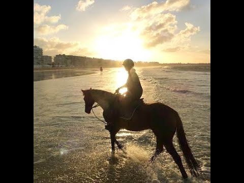 très belle video chevaux au galop sur la plage
