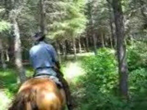 Notre arrivee à cheval par nos sentiers au camping Sauvage.