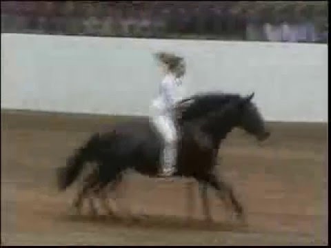 Stacy Westfall, c'est vrm une pro avec son cheval