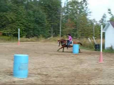 Un petit montage de mon cheval Nova, SVP laissez moi des commentaires je me suis vraiment appliquée, moi qui ne savais...