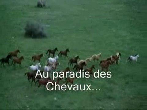 Pour les chevaux qui nous manque!
