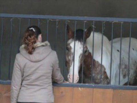 Yé tros beaux ste cheval la!